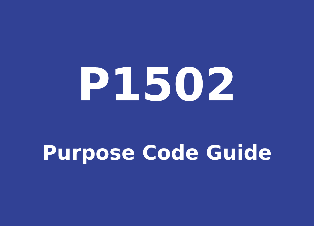 Decoding P1502 Purpose Code : Reversals and Refunds for Non-Imports